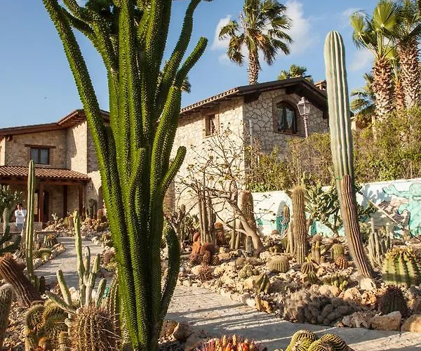 Casa vacanza: Garden Cactus